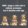 imageZesty Paws NAD Precursor Supplement for Dogs  Niagen for Healthy Aging ampamp Skeletal Muscle Support ampamp Recovery  Brain Heart ampamp Cellular Energy Support  Nicotinamide Riboside Chloride  30 SachetsSachets