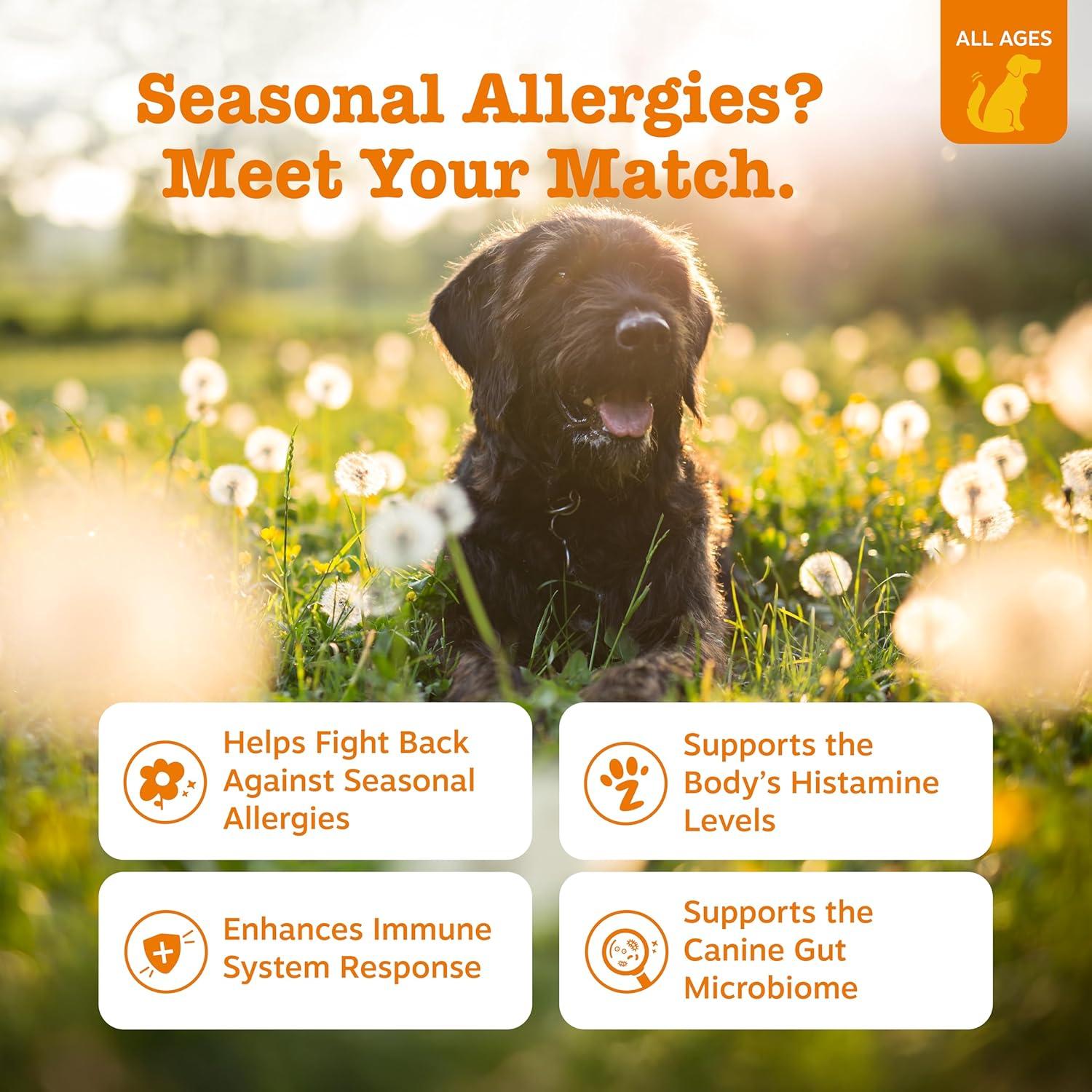 imageZesty Paws Dog Allergy Relief  Anti Itch Supplement  Omega 3 Probiotics for Dogs  Digestive Health  Soft Chews for Skin ampamp Seasonal Allergies  with Epicor Pets  Puppy  Lamb  90 CountPeanut Butter