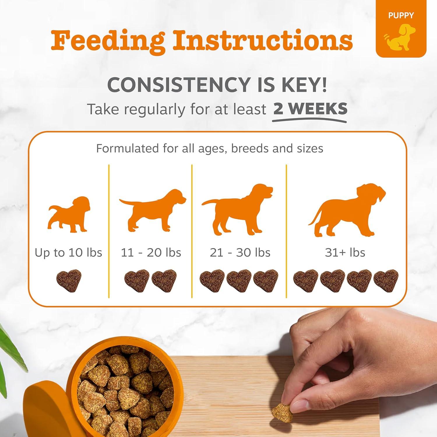 imageZesty Paws Dog Allergy Relief  Anti Itch Supplement  Omega 3 Probiotics for Dogs  Digestive Health  Soft Chews for Skin ampamp Seasonal Allergies  with Epicor Pets  Puppy  Lamb  90 CountLamb  Puppy