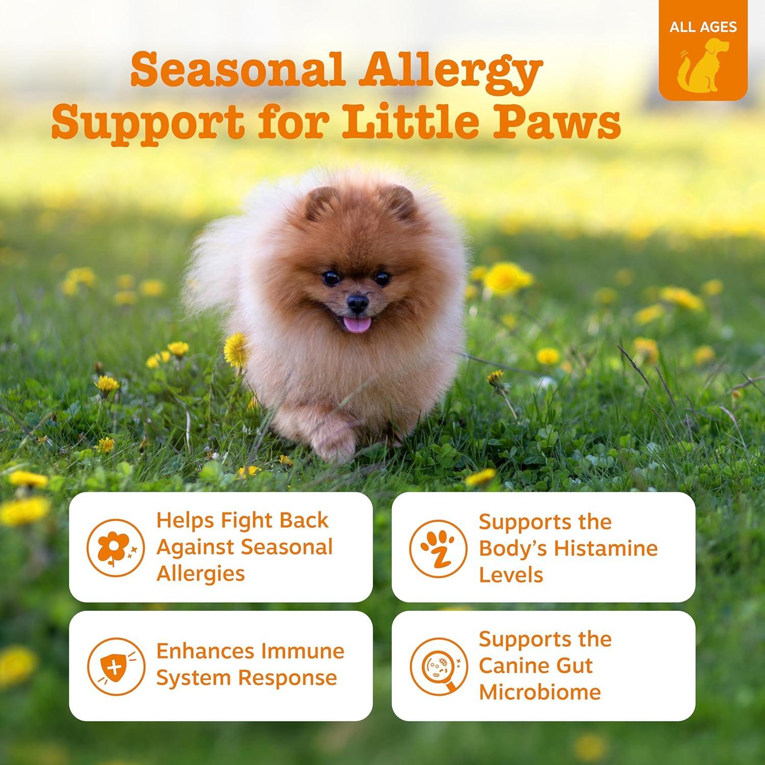 imageZesty Paws Dog Allergy Relief  Anti Itch Supplement  Omega 3 Probiotics for Dogs  Digestive Health  Soft Chews for Skin ampamp Seasonal Allergies  with Epicor Pets  Puppy  Lamb  90 CountLamb  Mini