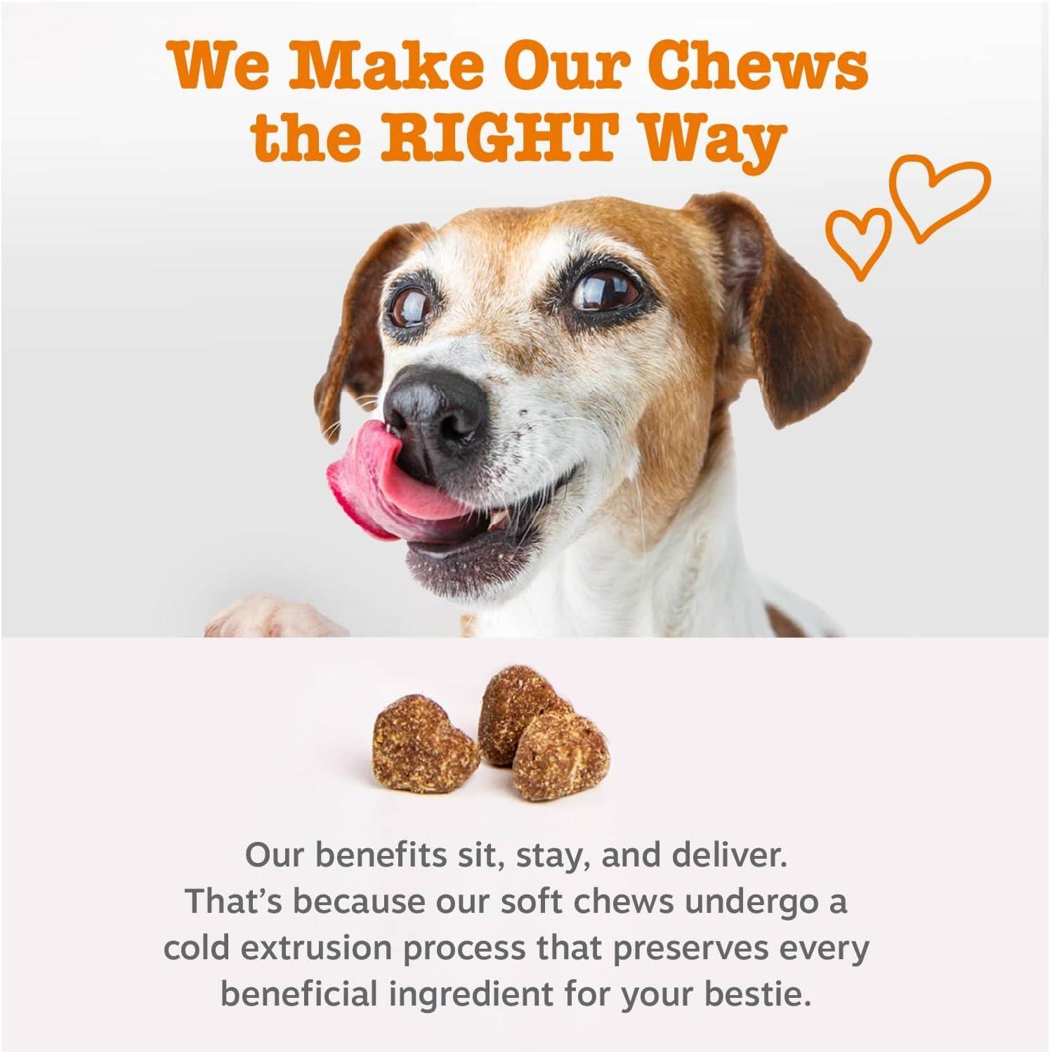 imageZesty Paws Dog Allergy Relief  Anti Itch Supplement  Omega 3 Probiotics for Dogs  Digestive Health  Soft Chews for Skin ampamp Seasonal Allergies  with Epicor Pets  Puppy  Lamb  90 CountSmoked Cheese