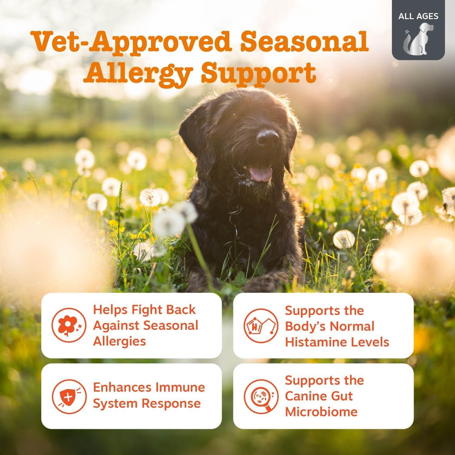 imageZesty Paws Dog Allergy Relief  Anti Itch Supplement  Omega 3 Probiotics for Dogs  Digestive Health  Soft Chews for Skin ampamp Seasonal Allergies  with Epicor Pets  Puppy  Lamb  90 CountSmoked Cheese