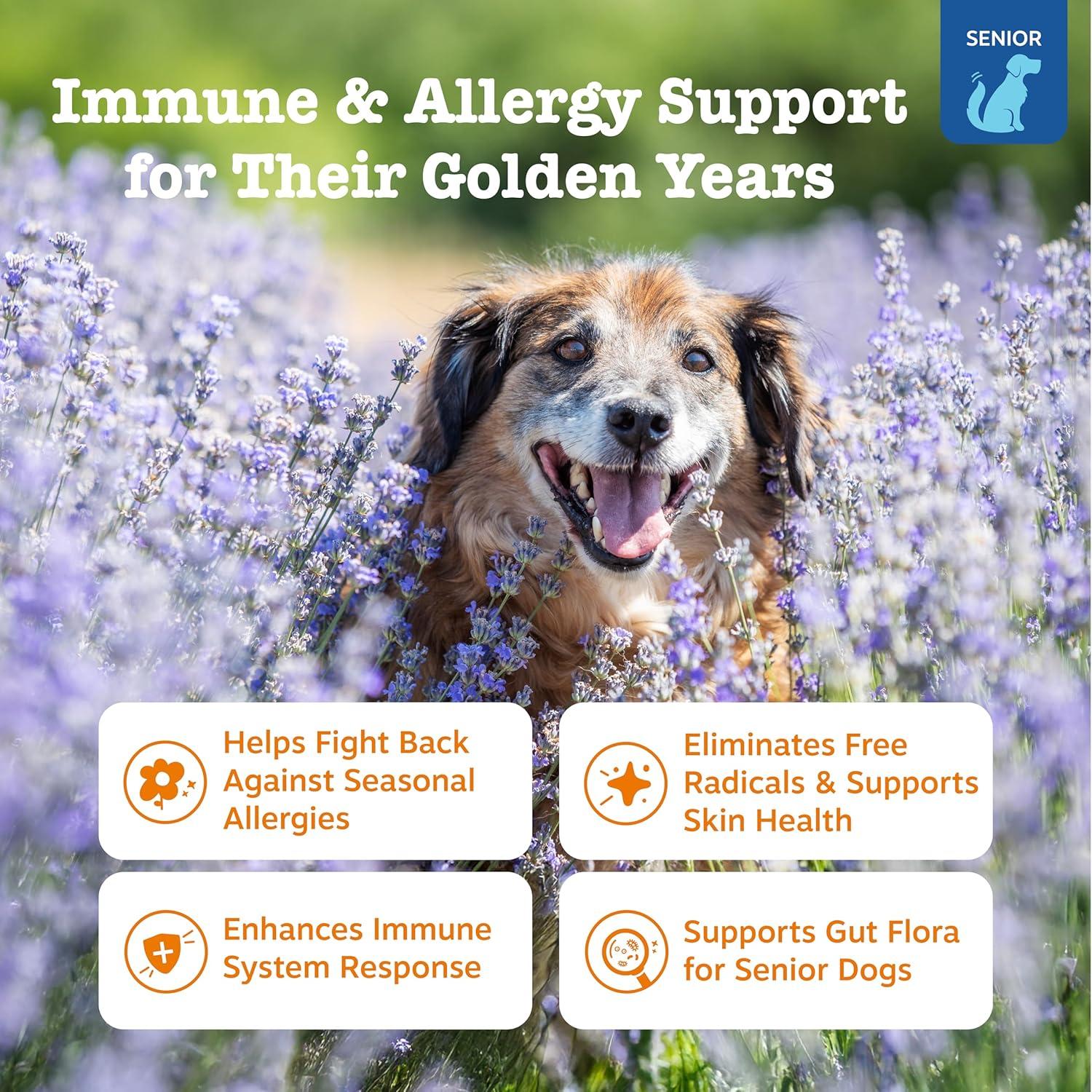 imageZesty Paws Dog Allergy Relief  Anti Itch Supplement  Omega 3 Probiotics for Dogs  Digestive Health  Soft Chews for Skin ampamp Seasonal Allergies  with Epicor Pets  Puppy  Lamb  90 CountSalmon  Advanced