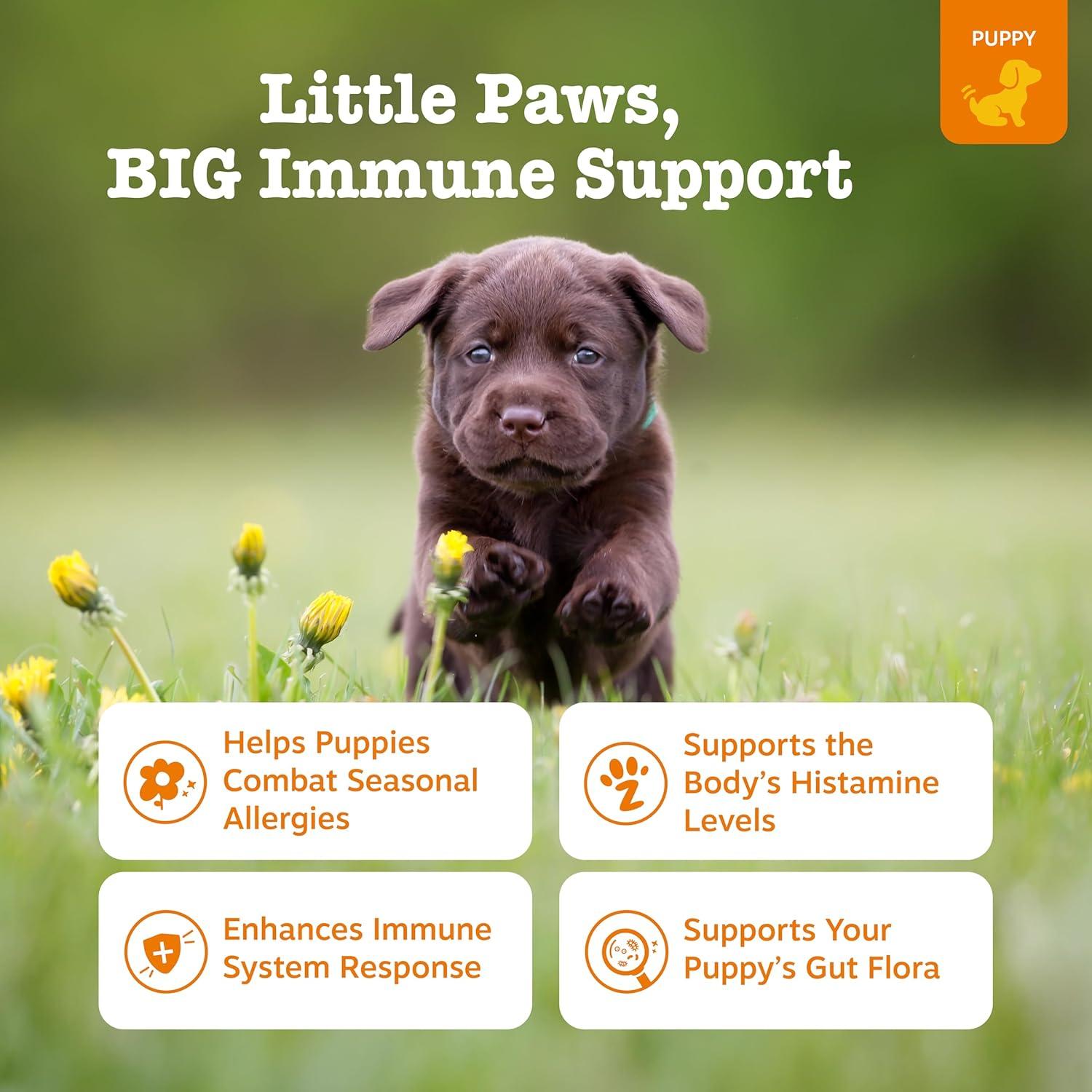 imageZesty Paws Dog Allergy Relief  Anti Itch Supplement  Omega 3 Probiotics for Dogs  Digestive Health  Soft Chews for Skin ampamp Seasonal Allergies  with Epicor Pets  Puppy  Lamb  90 CountLamb  Puppy
