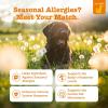 imageZesty Paws Dog Allergy Relief  Anti Itch Supplement  Omega 3 Probiotics for Dogs  Digestive Health  Soft Chews for Skin ampamp Seasonal Allergies  with Epicor Pets  Puppy  Lamb  90 CountLamb