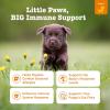 imageZesty Paws Dog Allergy Relief  Anti Itch Supplement  Omega 3 Probiotics for Dogs  Digestive Health  Soft Chews for Skin ampamp Seasonal Allergies  with Epicor Pets  Puppy  Lamb  90 CountLamb  Puppy