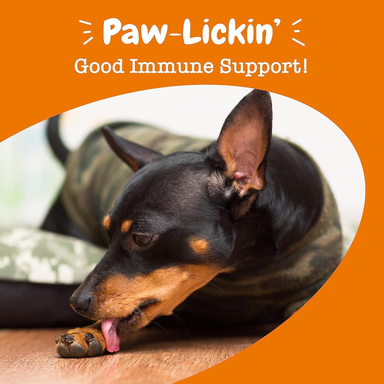 imageZesty Paws Allergy ampamp Immune Flavor Infusions for Dogs  with Omega 3 Salmon Oil for Sensitive Skin EpiCor Pets Colostrum ampamp Quercetin  Supports Seasonal Allergies  Chicken Flavor  16 fl ozChicken