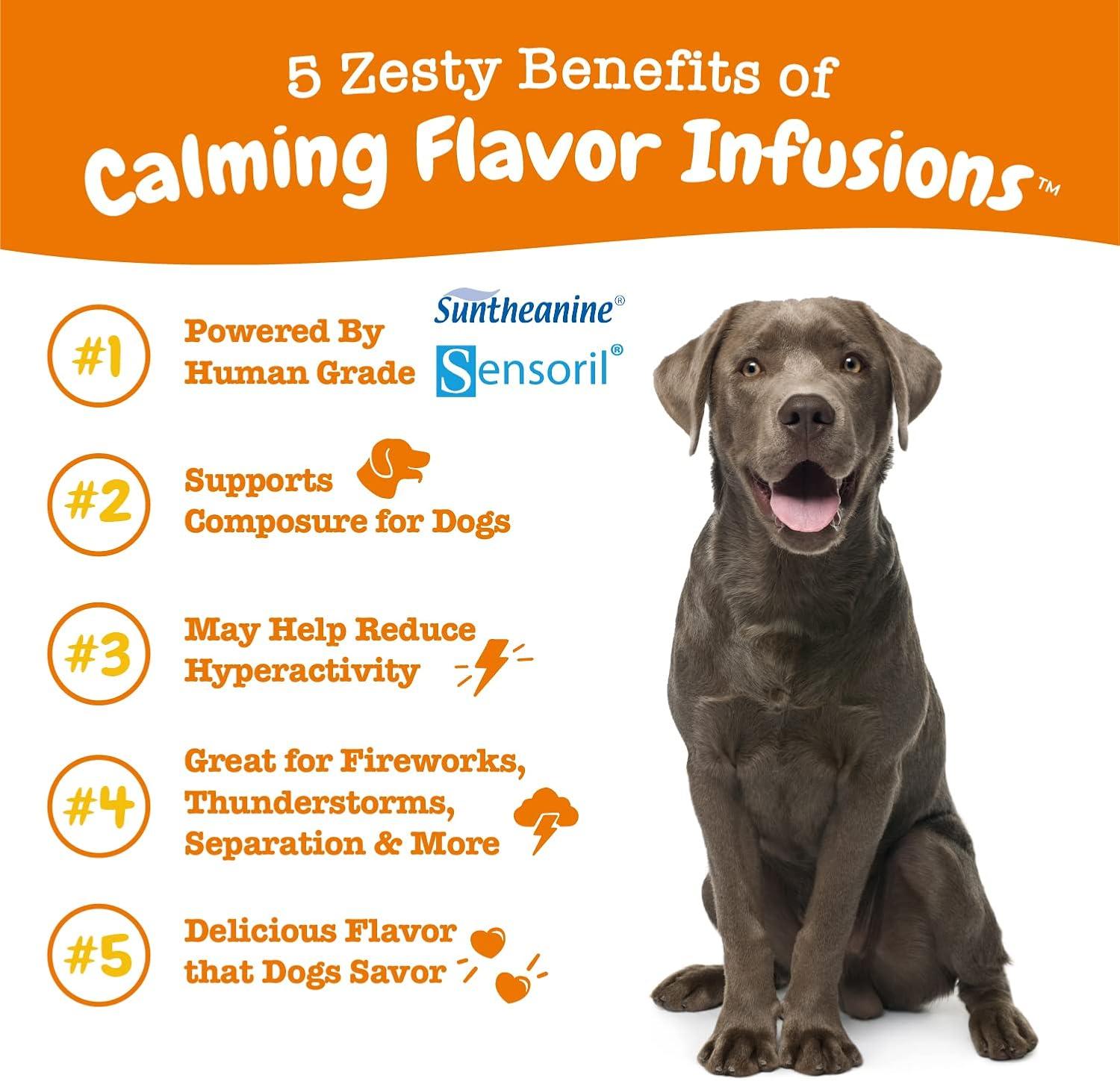 imageZesty Paws Calming Flavor Infusions for Dogs  Composure ampamp Relaxation for Everyday Stress ampamp Separation  with Ashwagandha Melatonin LTheanine ampamp LTryptophan  16 fl oz