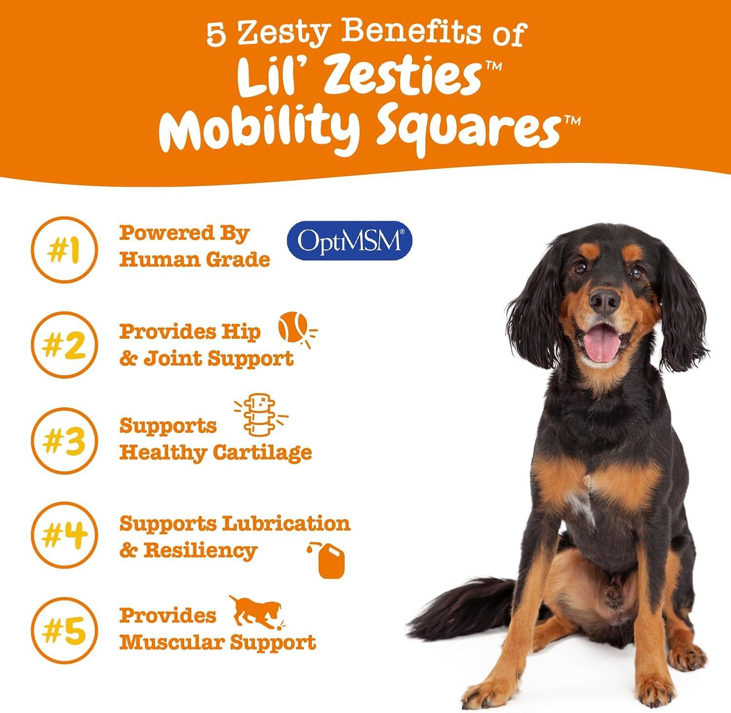 imageZesty Paws Mobility Squares  Hip and Joint Flavored Soft Chew for Dogs with Glucosamine Chondroitin ampamp MSM Dog Mobility Supplement for HIPS ampamp Joints Cartilage Support Plus Green Lipped Mussel 20 oz