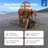 imageZesty Paws Hip and Joint for Dogs Glucosamine for Dogs Hip and Joint Supplement with Chondroitin MSM Vitamins C ampamp E  Bacon 50 CountChicken