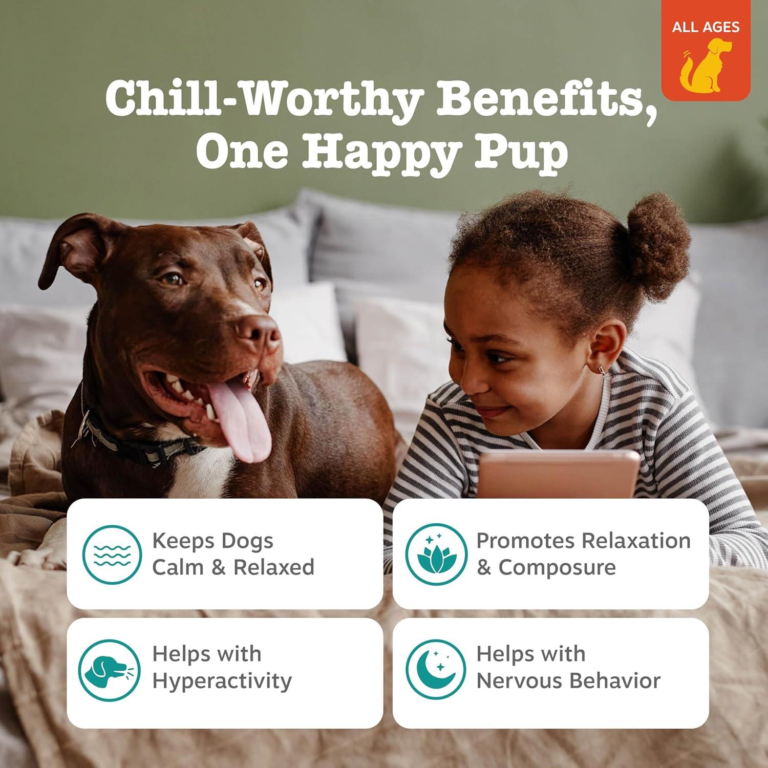 imageZesty Paws Flavored Soft Chews  Calming for Dogs Anxiety Composure Relief with Ashwagandha Melatonin Chamomile Passionflower Dog Stress Separation Aid for Fireworks and Thunder 10 ozChicken