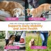 imageZesty Paws Hip amp Joint Bites for Cats  Glucosamine for Cats  with Chondroitin Turmeric  Cat Joint Supplement for Hip amp Joints  AlaskOmega Fish Oil with Omega3 Fatty Acids  60 CountBacon