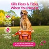 image:imageZesty Paws Flea and Tick Prevention for Dogs Chewable  Prevention Protection amp Repellent  Dog Supplement to Kill amp Control Fleas amp Ticks  Roast Chicken Flavor 90 CtFlea  Tick Kit