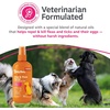 image:imageZesty Paws Flea and Tick Prevention for Dogs Chewable  Prevention Protection amp Repellent  Dog Supplement to Kill amp Control Fleas amp Ticks  Roast Chicken Flavor 90 CtFlea  Tick Spray