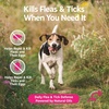 image:imageZesty Paws Flea and Tick Prevention for Dogs Chewable  Prevention Protection amp Repellent  Dog Supplement to Kill amp Control Fleas amp Ticks  Roast Chicken Flavor 90 CtFlea  Tick Spray