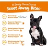 image:imageZesty Paws Calming Soft Chews for Dogs  Melatonin Ashwagandha LTheanine amp LTryptophan  Scoot Away Soft Chews for Dogs  with Bromelain